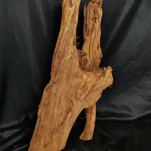 Racine de mangrove MG106 - 48x22x22cm
