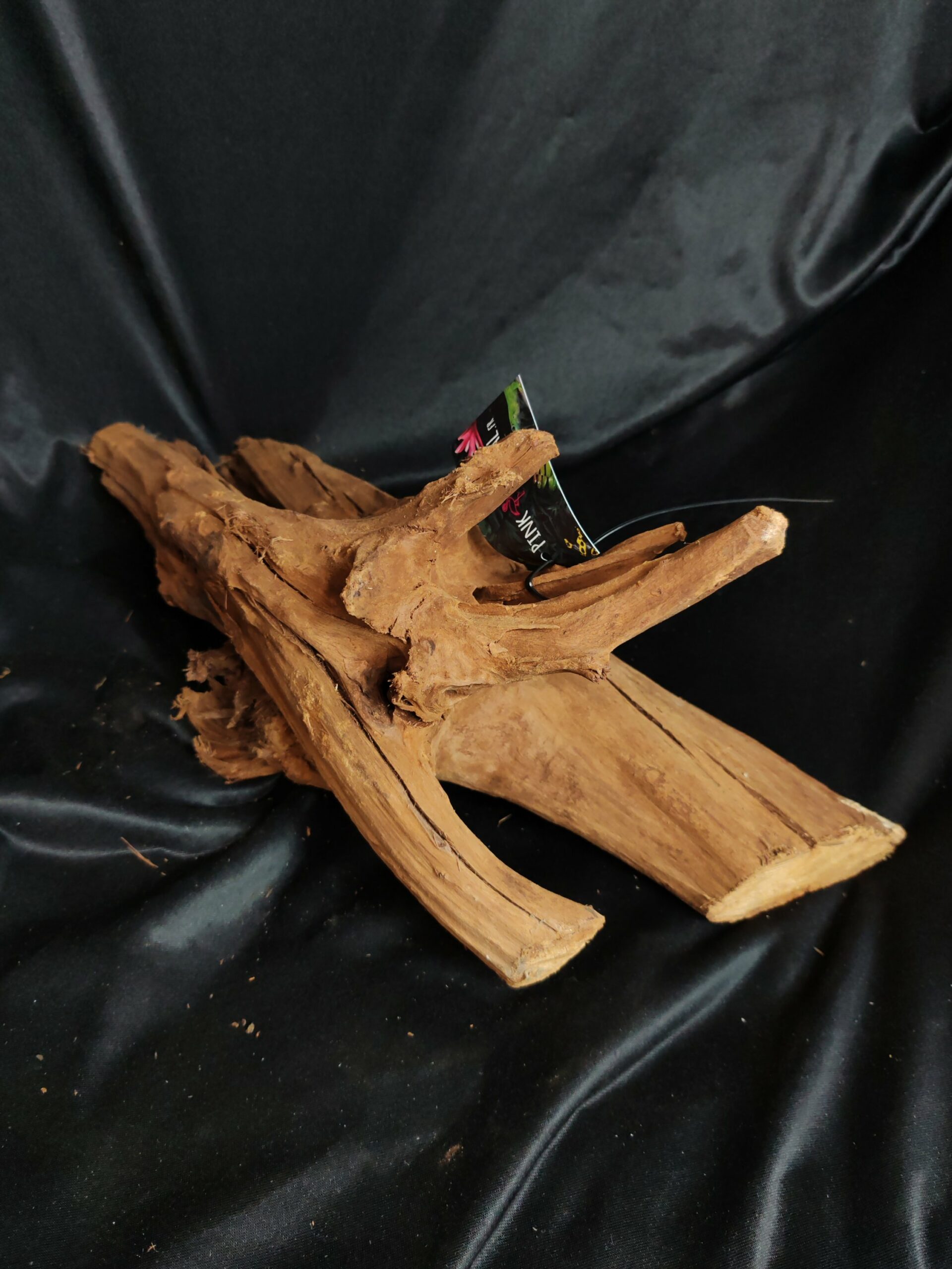 Racine de mangrove MG106 - 48x22x22cm – Image 2