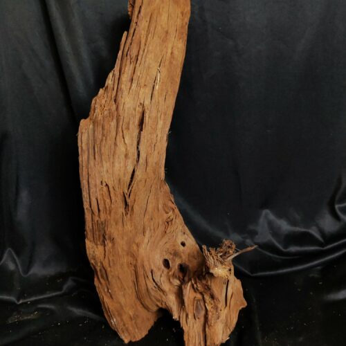 Racine de mangrove MG101 - 53x20x17cm