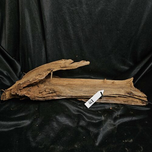 Racine de mangrove MG448 - 55x22x15cm