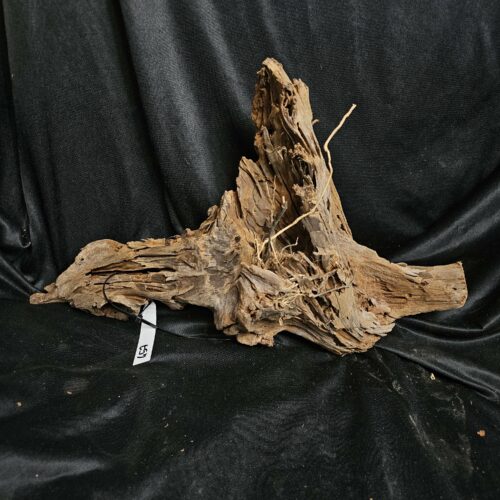 Racine de mangrove MG457 - 53x31x31cm