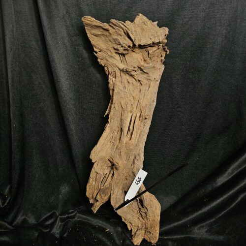Racine de mangrove MG455 - 53x20x10cm