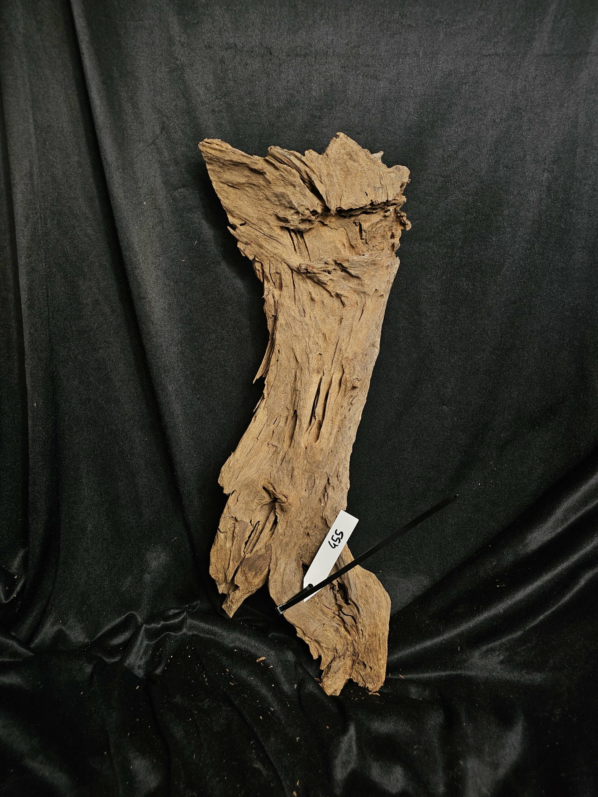 Racine de mangrove MG455 - 53x20x10cm