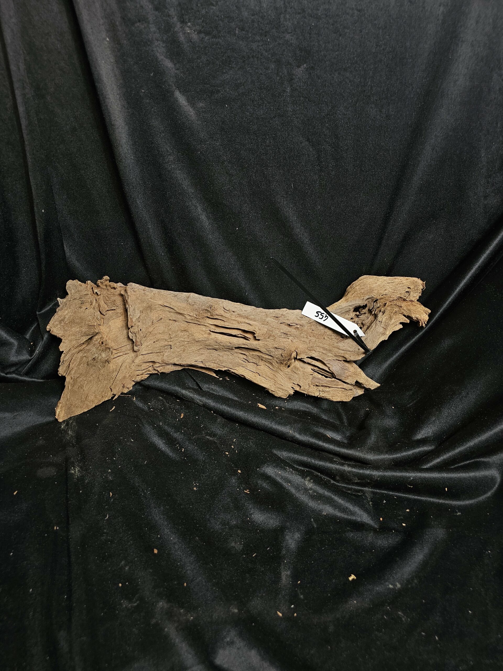 Racine de mangrove MG455 - 53x20x10cm – Image 2