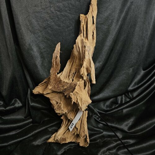 Racine de mangrove MG444 - 57x14x22cm