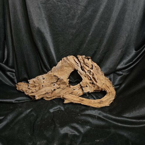 Racine de mangrove MG454 - 54x30x14cm