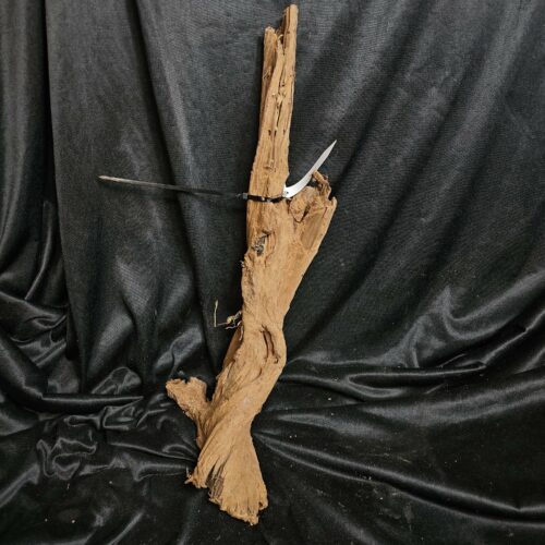 Racine de mangrove MG447 - 53x26x13cm