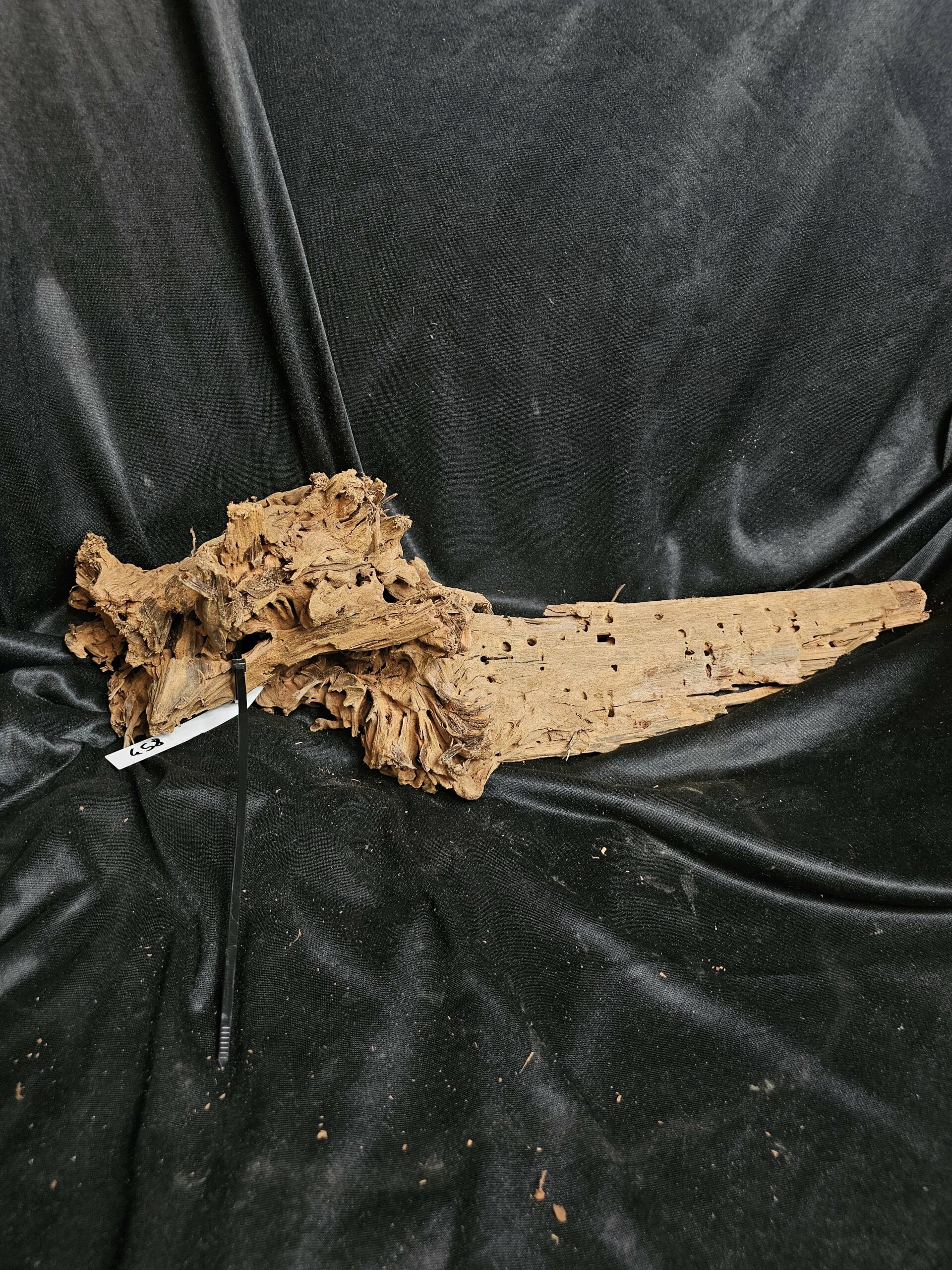 Racine de mangrove MG458 - 58x26x19cm – Image 2