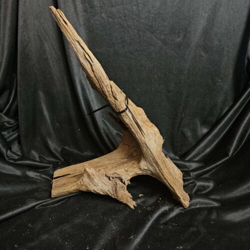 Racine de mangrove MG465 - 54x19x32cm