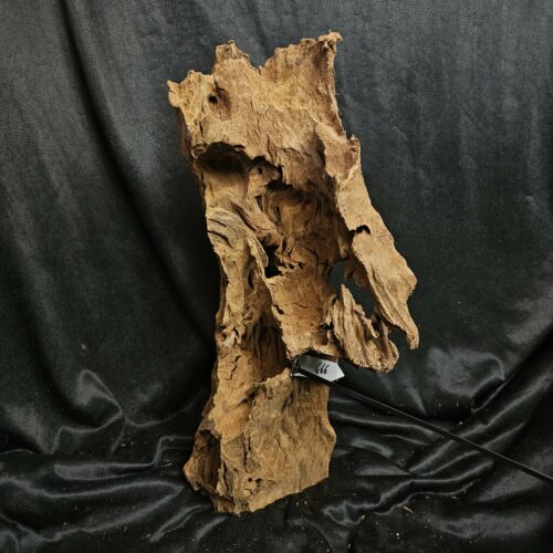 Racine de mangrove MG466 - 47x25x18cm