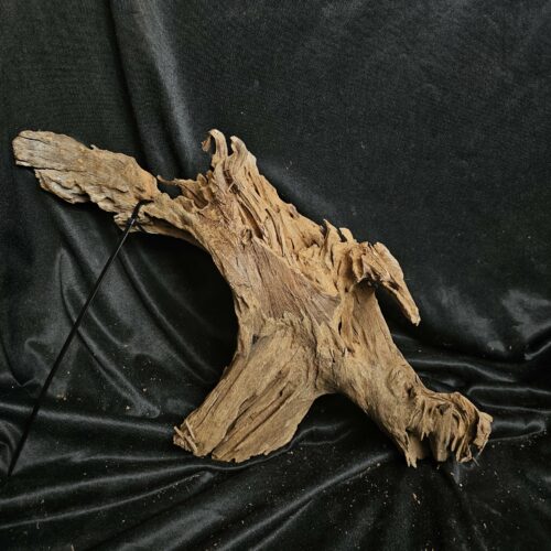 Racine de mangrove MG461 - 51x26x18cm