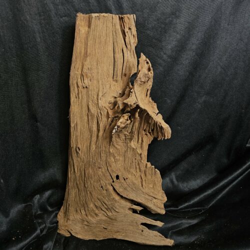 Racine de mangrove MG441 - 49x28x13cm