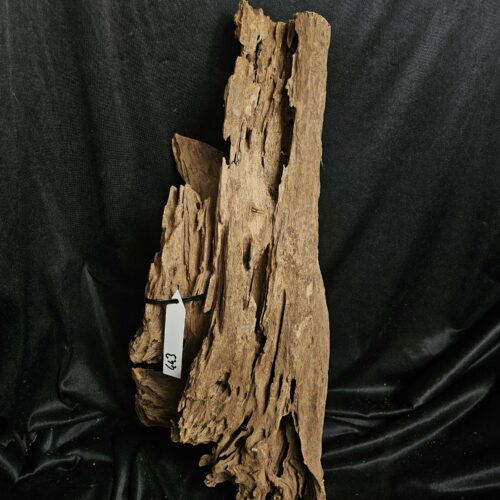 Racine de mangrove MG443 - 55x23x18cm
