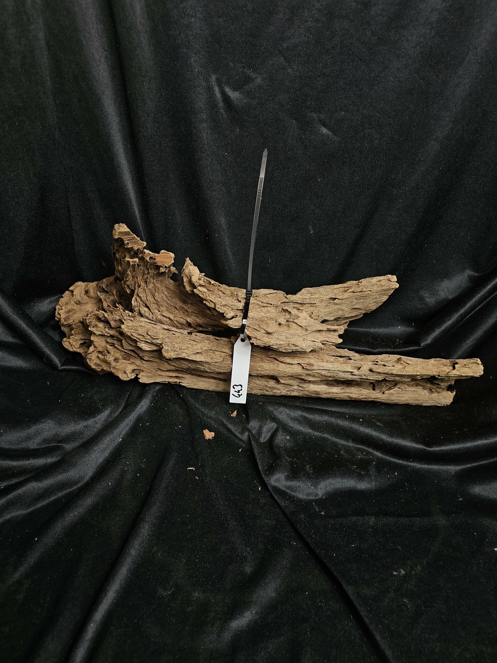 Racine de mangrove MG443 - 55x23x18cm – Image 2