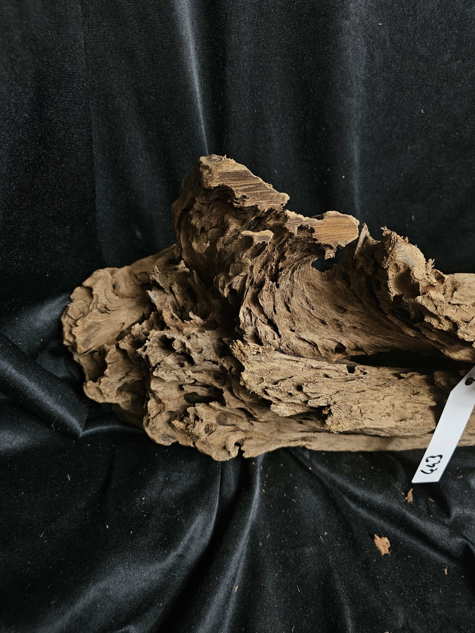 Racine de mangrove MG443 - 55x23x18cm – Image 4