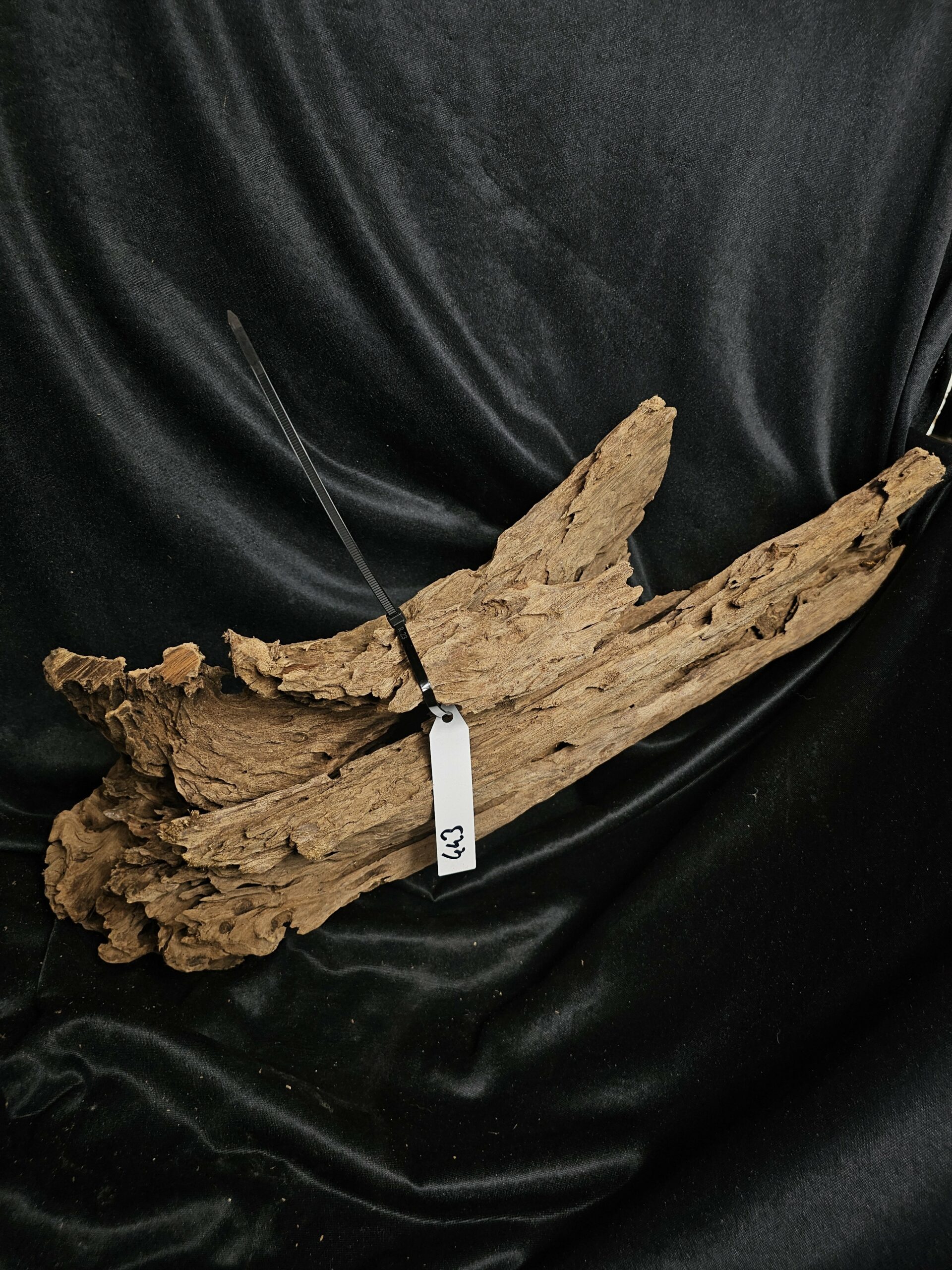 Racine de mangrove MG443 - 55x23x18cm – Image 5