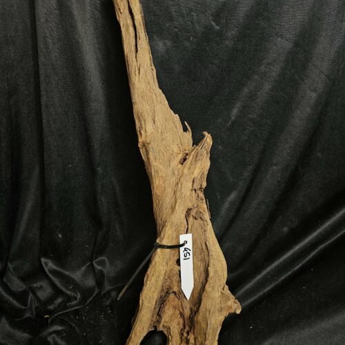 Racine de mangrove MG451 - 58x25x15cm