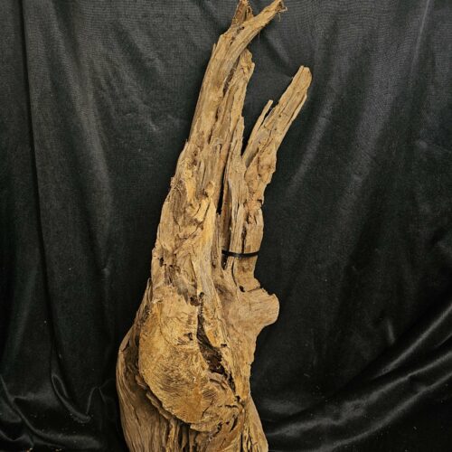 Racine de mangrove MG450 - 64x21x21cm