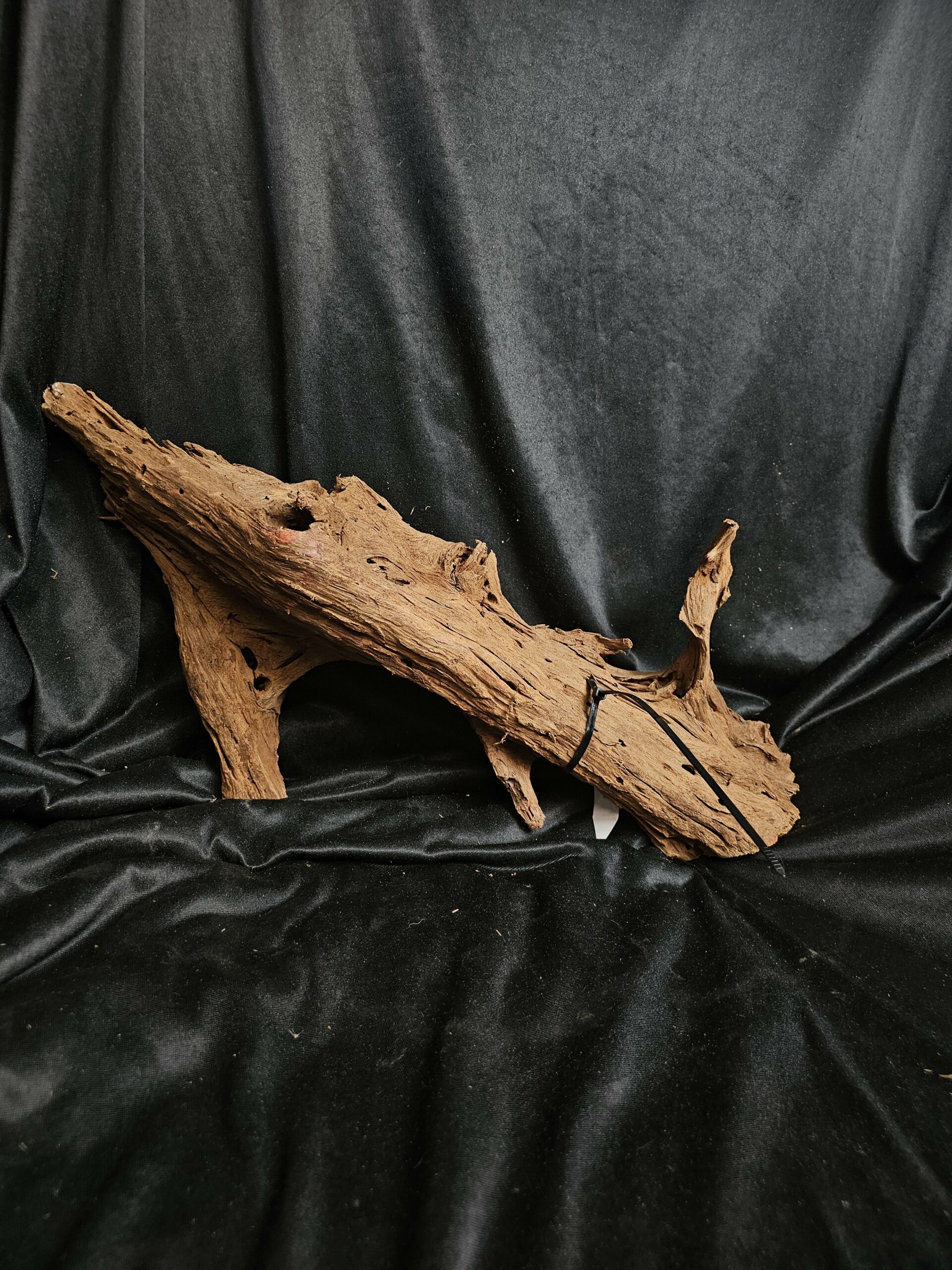 Racine de mangrove MG452 - 57x16x22cm – Image 3