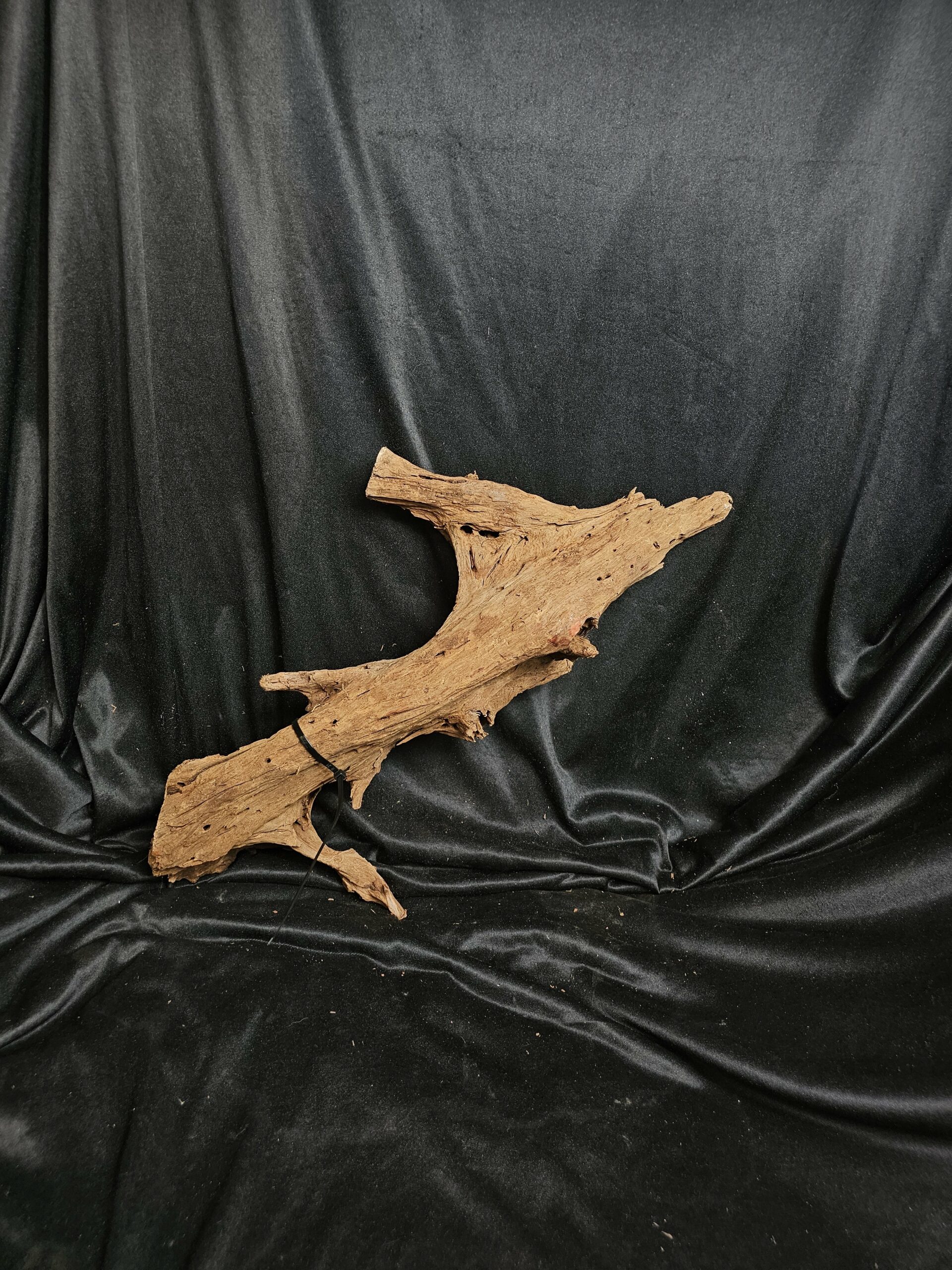 Racine de mangrove MG452 - 57x16x22cm – Image 2