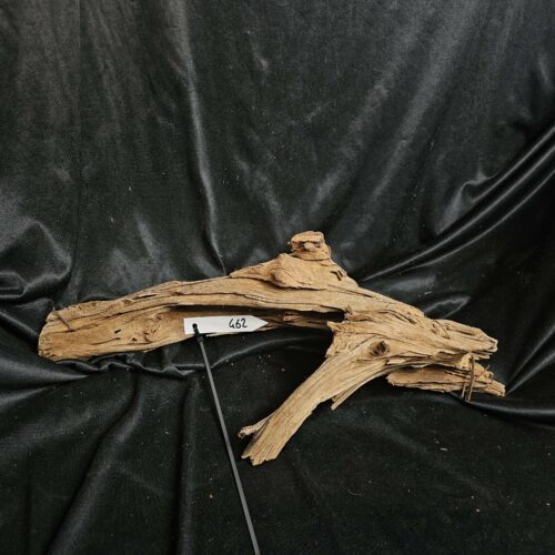 Racine de mangrove MG462 - 53x17x21cm