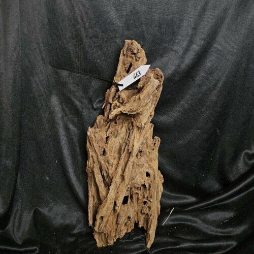 Racine de mangrove MG463 - 49x21x16cm