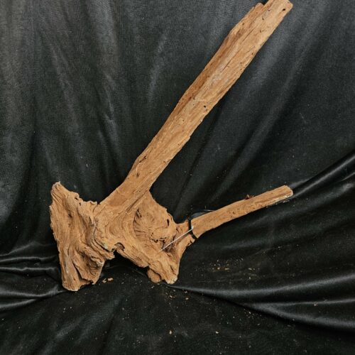 Racine de mangrove MG442 - 51x34x21cm