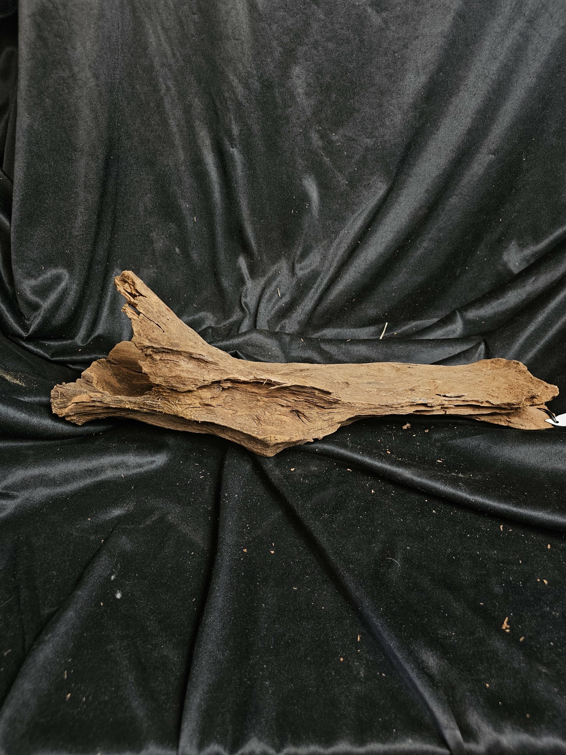 Racine de mangrove MG440 - 53x16x20cm – Image 2