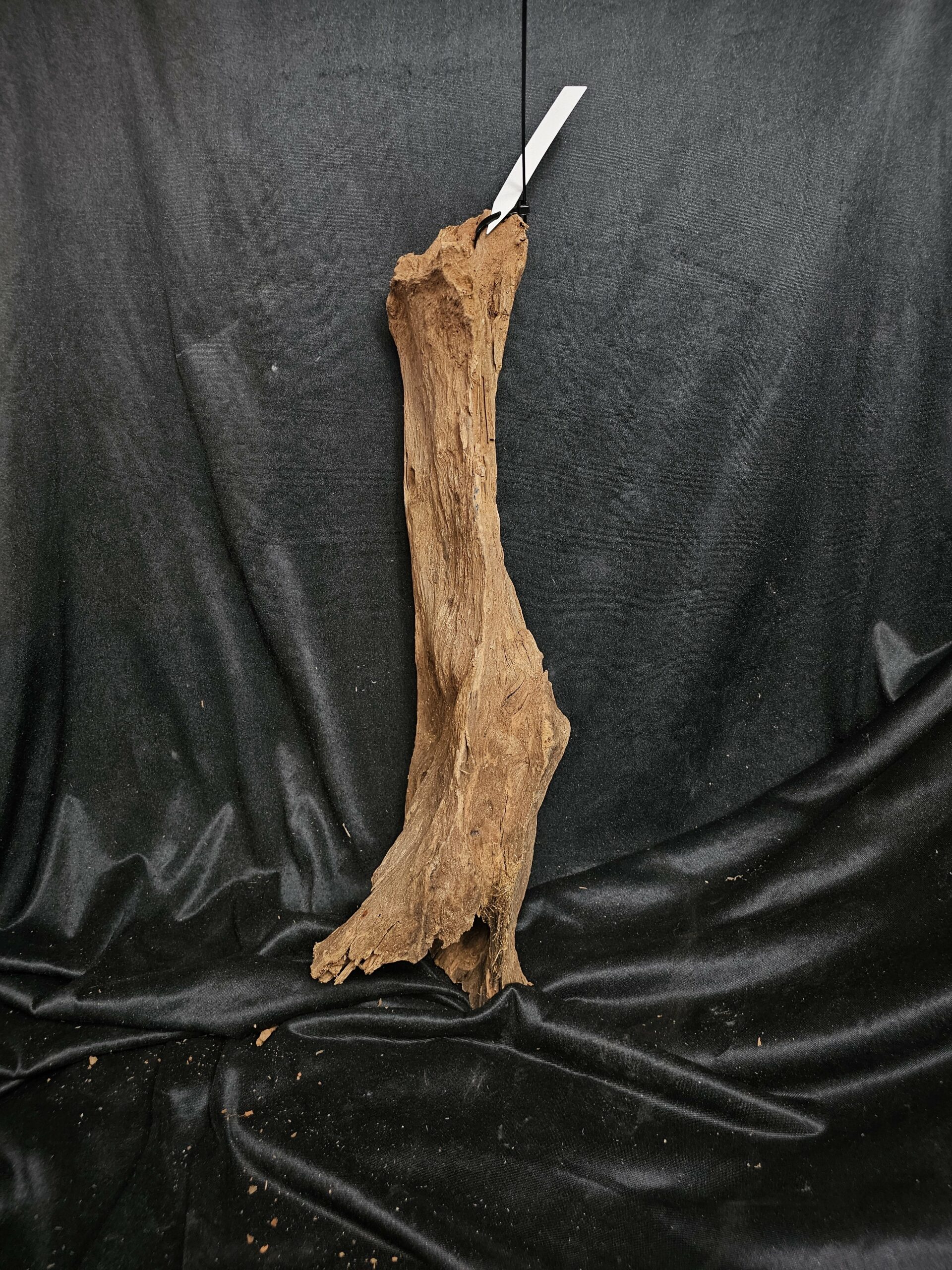 Racine de mangrove MG440 - 53x16x20cm – Image 3