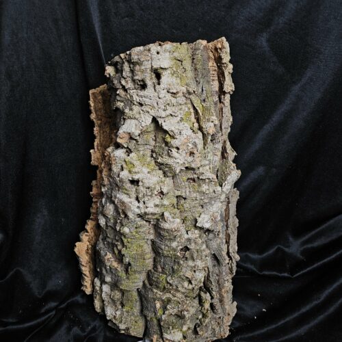 Tronc de liège LH222 -46x26x16cm