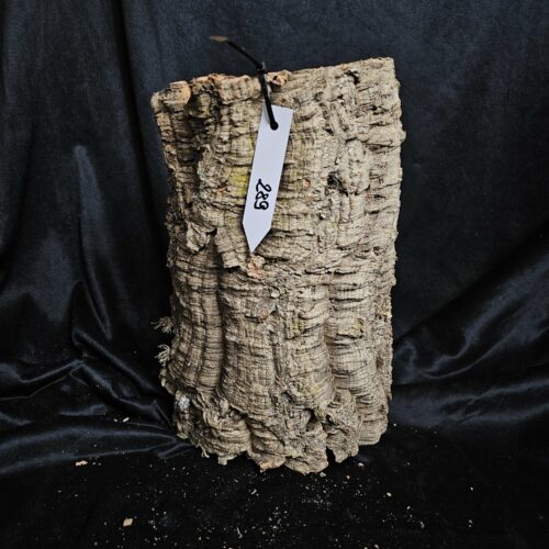 Tronc de liège LH289 - 34x22x16cm