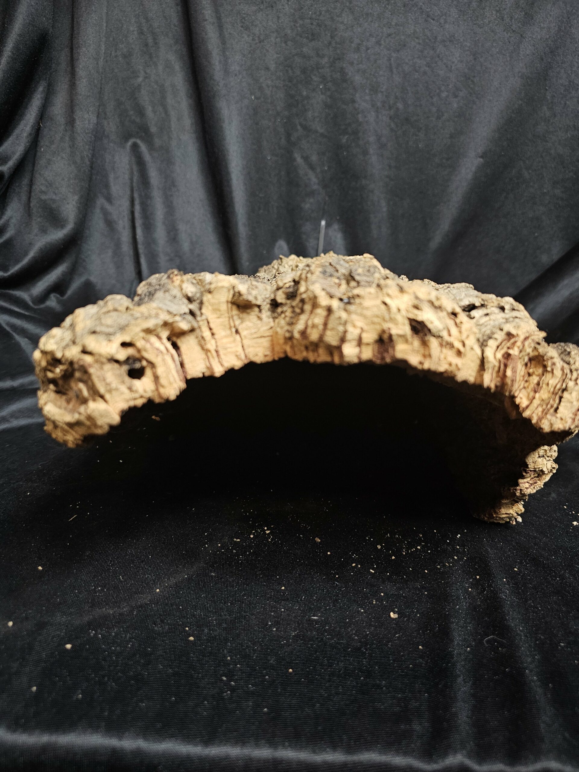 Tronc de liège LH292 - 49x29x18cm – Image 2