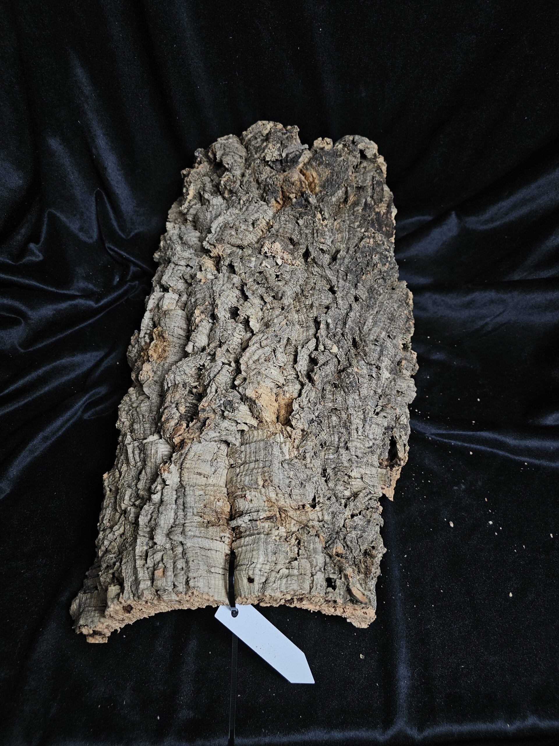 Tronc de liège LH292 - 49x29x18cm – Image 3