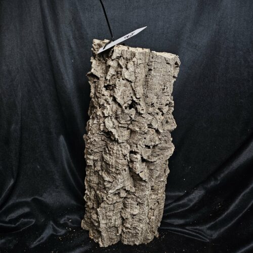 Tronc de liège LH270 - 44x20x18cm