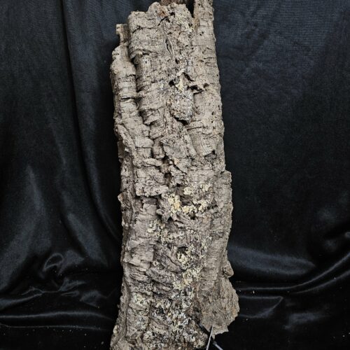 Tronc de liège LH264 - 59x21x15cm