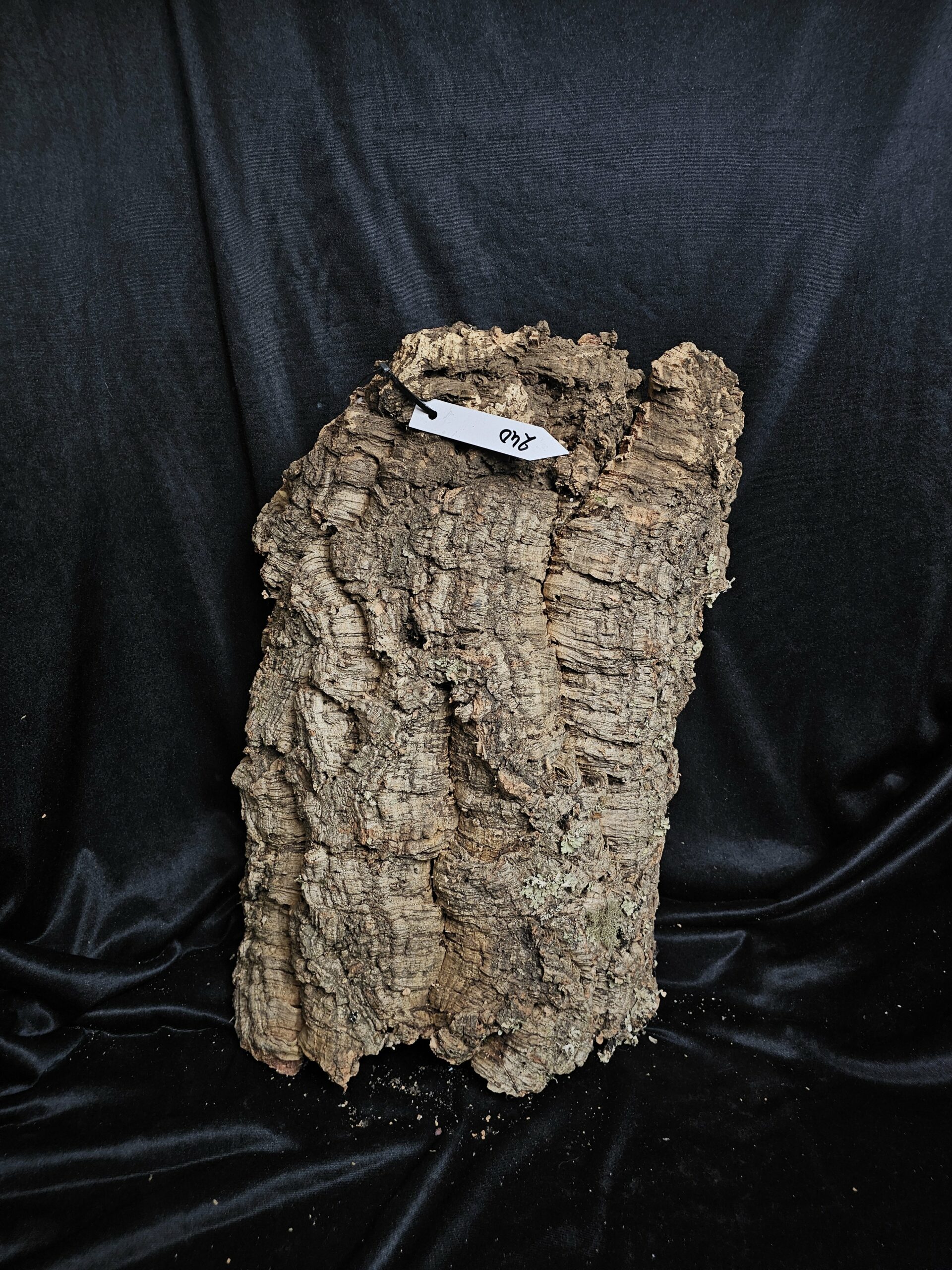 Tronc de liège LH240 - 50x38x16cm