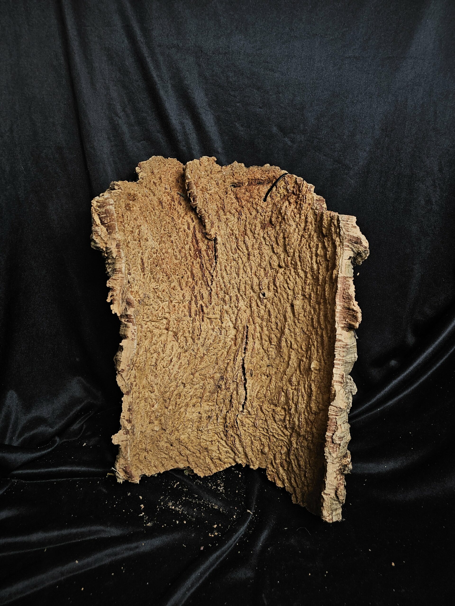 Tronc de liège LH240 - 50x38x16cm – Image 2