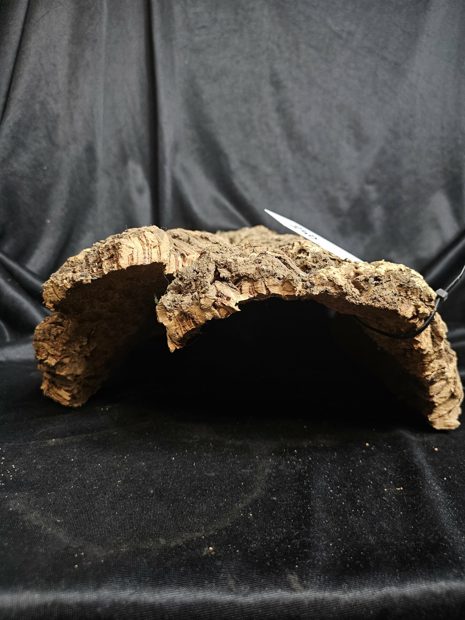 Tronc de liège LH240 - 50x38x16cm – Image 3