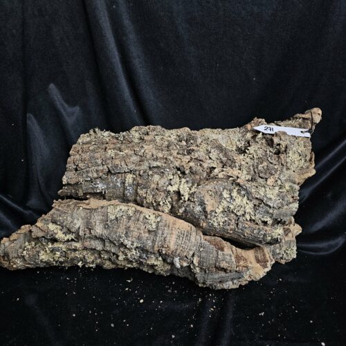 Tronc de liège LH271 - 56x27x23cm