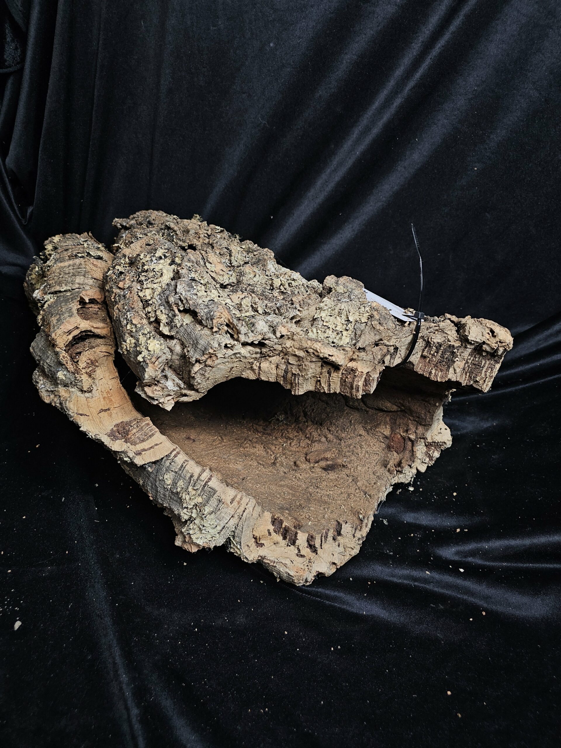 Tronc de liège LH271 - 56x27x23cm – Image 3