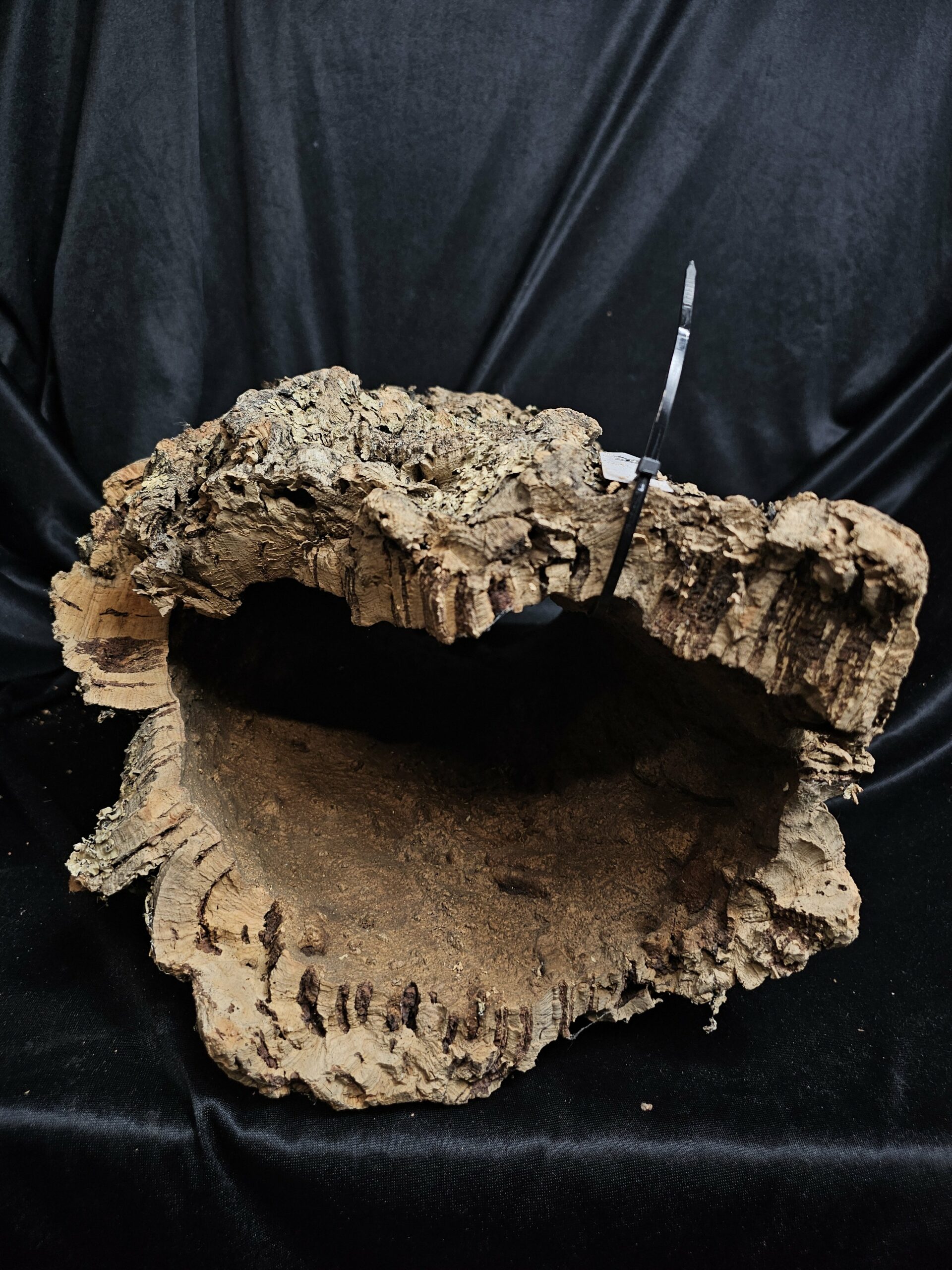 Tronc de liège LH271 - 56x27x23cm – Image 4