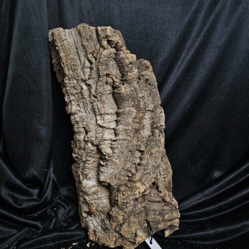 Tronc de liège LH226 - 52x26x15cm