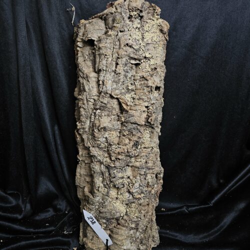 Tronc de liège LH238 - 55x22x13cm