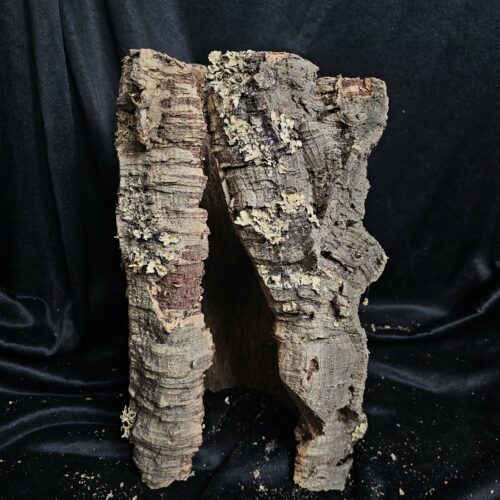 Tronc de liège LH236 - 36x21x23cm