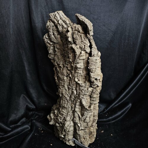 Tronc de liège LH282 - 50x25x16cm