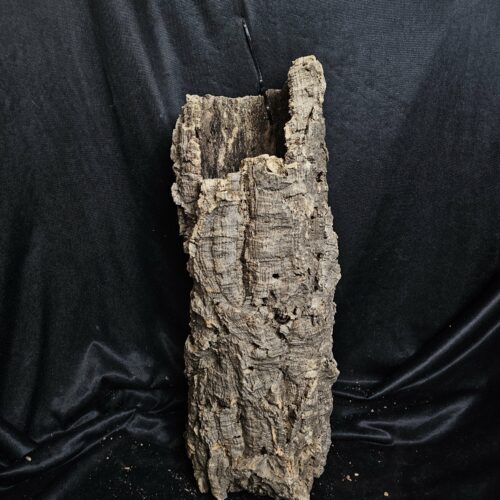 Tronc de liège LH274 - 52x21x18cm