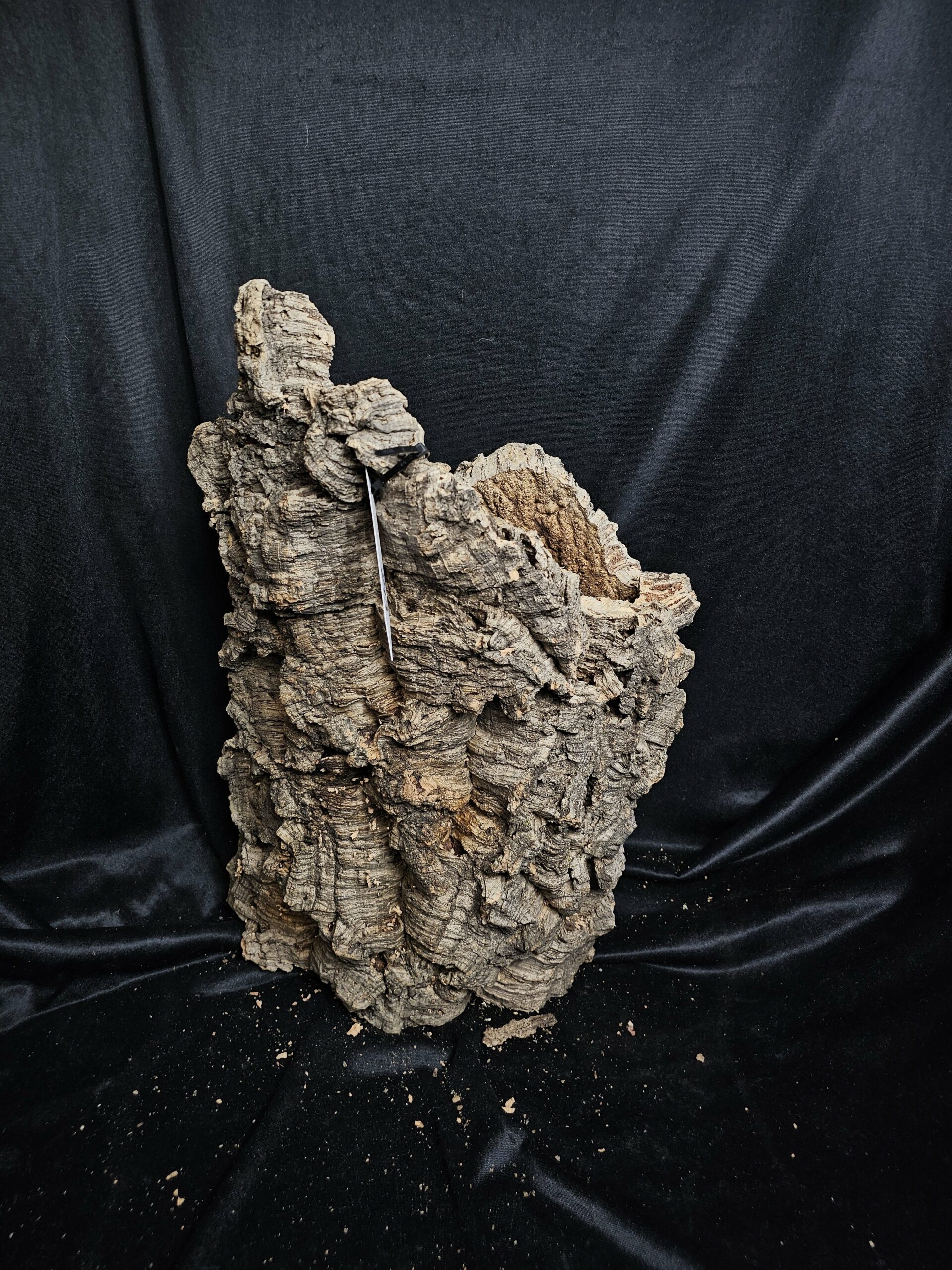 Tronc de liège LH279 - 47x32x22cm – Image 2