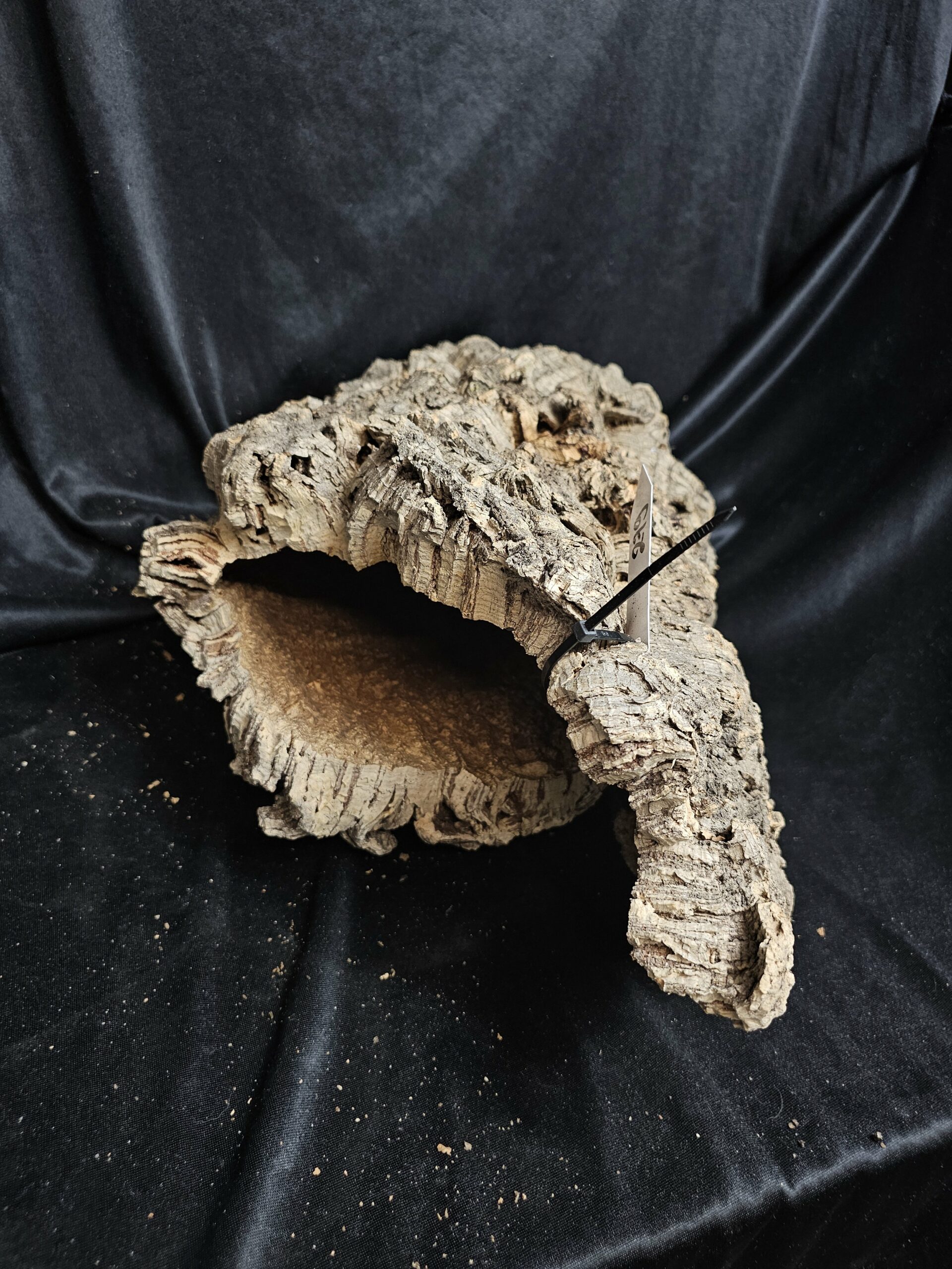 Tronc de liège LH279 - 47x32x22cm – Image 3