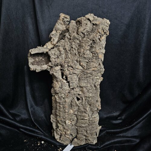 Tronc de liège LH232 - 47x27x19cm