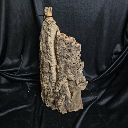 Tronc de liège LH269 - 48x32x19cm